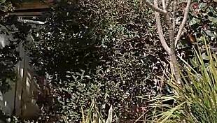 Mature Wife Maturemons Flashes Shaved Pussy Outdoors!