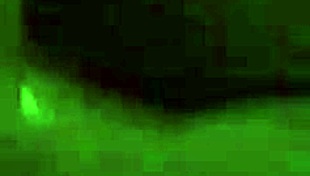 asdfgh titty fucks busty asian goat year babe