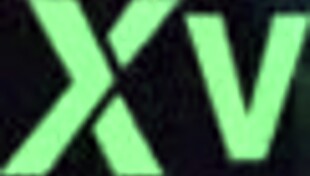 enjoying fun homemade activities with amateur friends