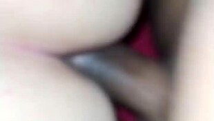 bold anal pounding while she chats ex