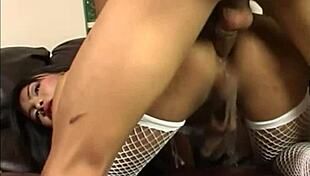 Fishnet Ladyboy Allure