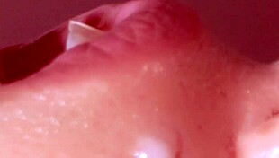 My Japanese Sister-in-Law's Uncensored Dick Sucking Ignites Pure Ecstasy