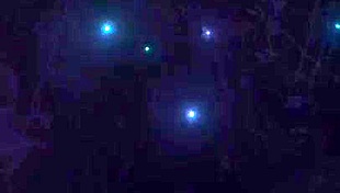 23yo horny Colombian uni girl charges $30 for raw teen pussy fuck in bogota?