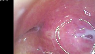 real pussy contractions during orgasm, sperm swirling in juicy depths under microscope