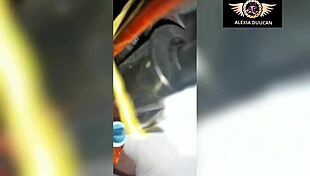 Tattoo Artist Inks Anitta-Like Model Alexia Duucan TS Asshole Best Moments?