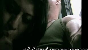 alexis is sucking my dick hard right on the bus from puebla to mexico city