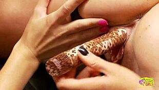 hey girls, don't you crave naughty lesbian threesomes like anna lovato, gemma massey and linsey dawn mckenzie?