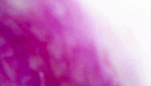 real pussy contractions during orgasm, sperm swirling in juicy depths under microscope