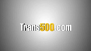 who can penetrate this ladyboy ass deepest in huge cock anal contest shemale sucking?