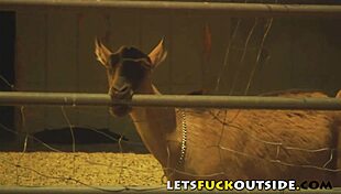 wanna fuck outside like us this country couple in public dirt?