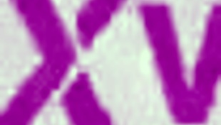 Hot TEEN 18+ Gives POV Outdoor Blowjob in Lingerie