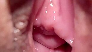 18yo girl's pussy looks so different after losing virginity