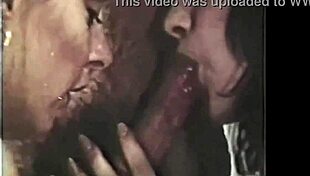 Vintage Seventies Group Beaver Feast Retro Style