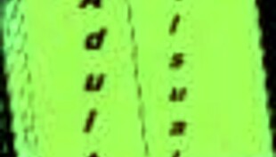 Fresh babes lock lips in steamy 69 position game