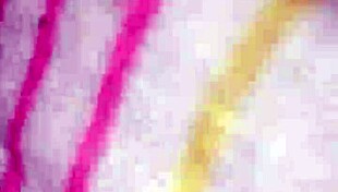 Wet fat milf gordita drowns in overwhelming desire