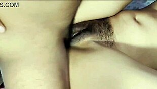 hey bhabhi, i sweet-talked you into letting me fuck you hard?