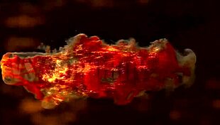 bella marchelli begs for hard anal creampie ass licking rough