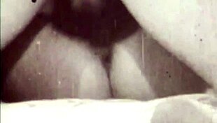 dark lantern unveils aged victorian film 8, erotic confessions of hairy lesbian beaver fucking