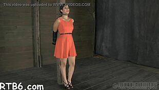 Ever tried nasty sadomasochism with hardcore pussy pounding and cock sucking?