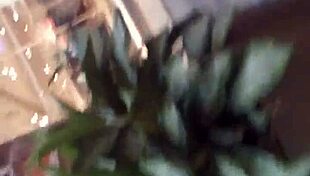 Ever wonder what happens when candid voyeur cam catches ebony ass folding in shop