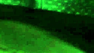 big booty ebw milf rides massive bbc to cumshot