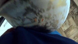 hot latina milfycalla slut begs fat guy cock in her tight pussy ass worship!