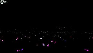 Born Pink Blink concert rocks hard! 🎤🎉