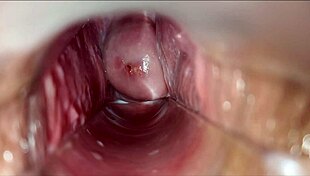 Cock pulses deep inside tight vagina to massive orgasm