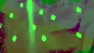 Watch This Sexy Sissy Shemale Slut PMV with Ass Worship, Toys and Screaming Orgasms!