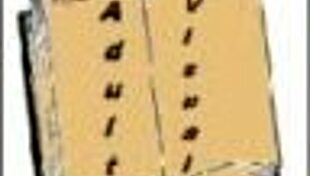 casually wandering through academy 41 game levels