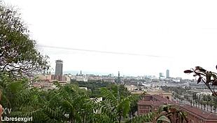 whoops i stripped naked flashing shaved pussy on barcelona streets tall skinny slut