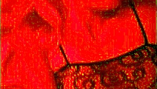 Amateur housewife slut shakes big ass in fishnets licks dirty close up