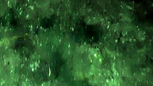 Step-aunt caught hairy pussy masturbating orgasms while i watch lesbian