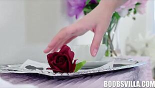 lana small screws bro before her big wedding day