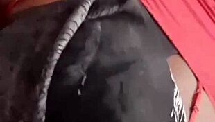 his member starts in mouth building to raw deep thrusts