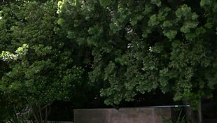 Adrianna Nicole's light-haired ass gets huge interracial pounding