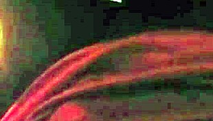 who wants nonstop pussy pounding sex right now?