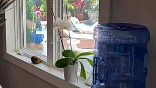 Jill Taylor Begs Step-Dad to Pound Her Petite Bikini Body Poolside!