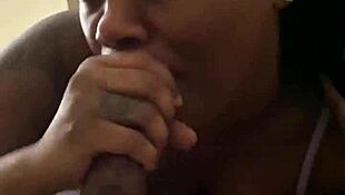 Ebony Big Ass Bent Over Sucking Monster Black Cock Sloppy Before Doggystyle Pounding