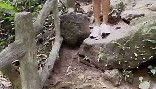 monika fox pink top yellow shorts strips jungle waterfalls nude