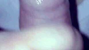 love my bbw sucking twice