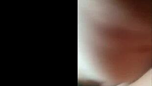 Schwarzer Hengst creampiet bustige Josephine James