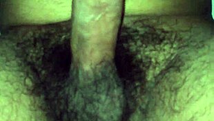 Indian Cock Thrills with Delhi Excitement