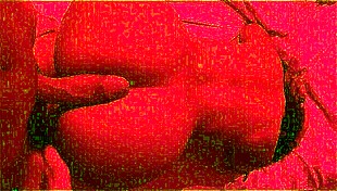 fodendo morena raba grande praia pov homemade wife big ass fitness