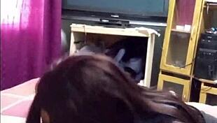 Ebony Queen Gives Boss Intimate Close-Up Oral Treat