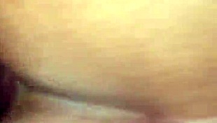 sebastiana bends over begging for every doggystyle thrust her curves shaking wildly