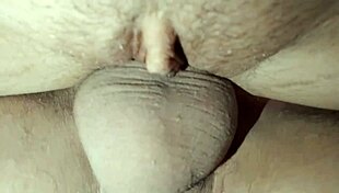 real amateur couple fucks beautifully