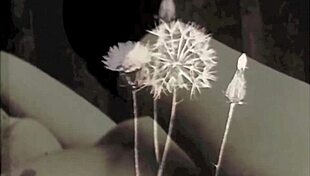 victorian step grandmothers confess hairy pussy sins lesbian fucks retro erotic