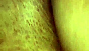 sebastiana bends over begging for every doggystyle thrust her curves shaking wildly