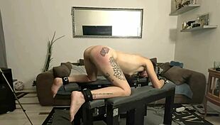 damn, this teen slave's orgasm control on the punishment bench is brutal... wanna see her break??